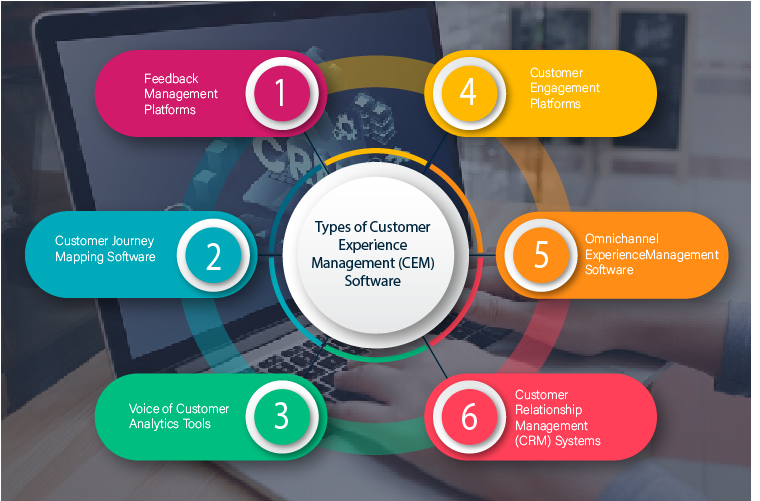 Types of Customer Experience Management Software